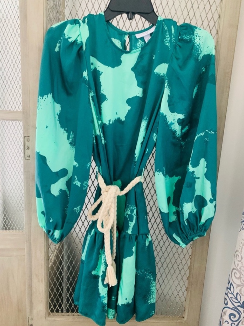 Alexis Green Print Long Sleeve Mini Dress